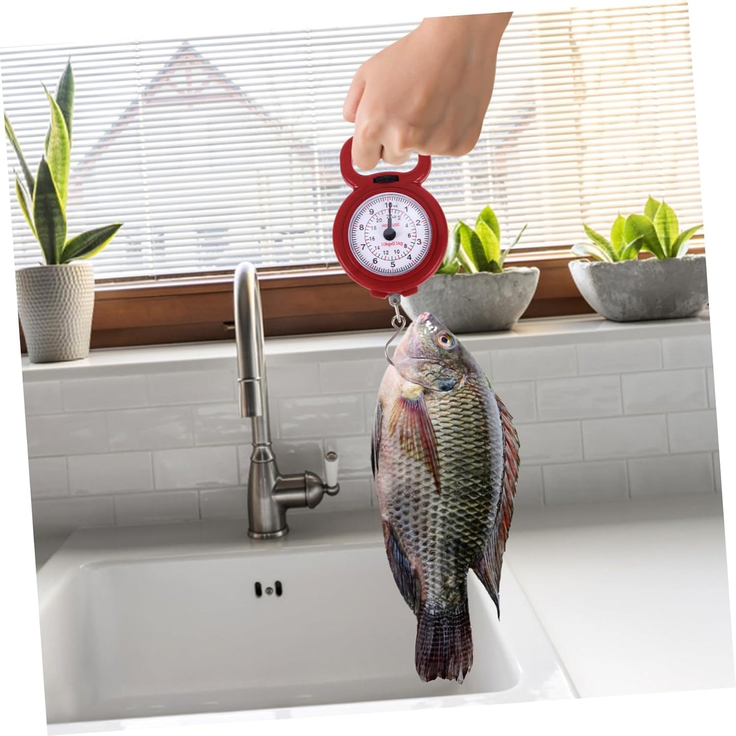 LIFKOME 10kg Portable Hand Scale Fishing Scales Manual Lightweight for Travel Capacity Random Color