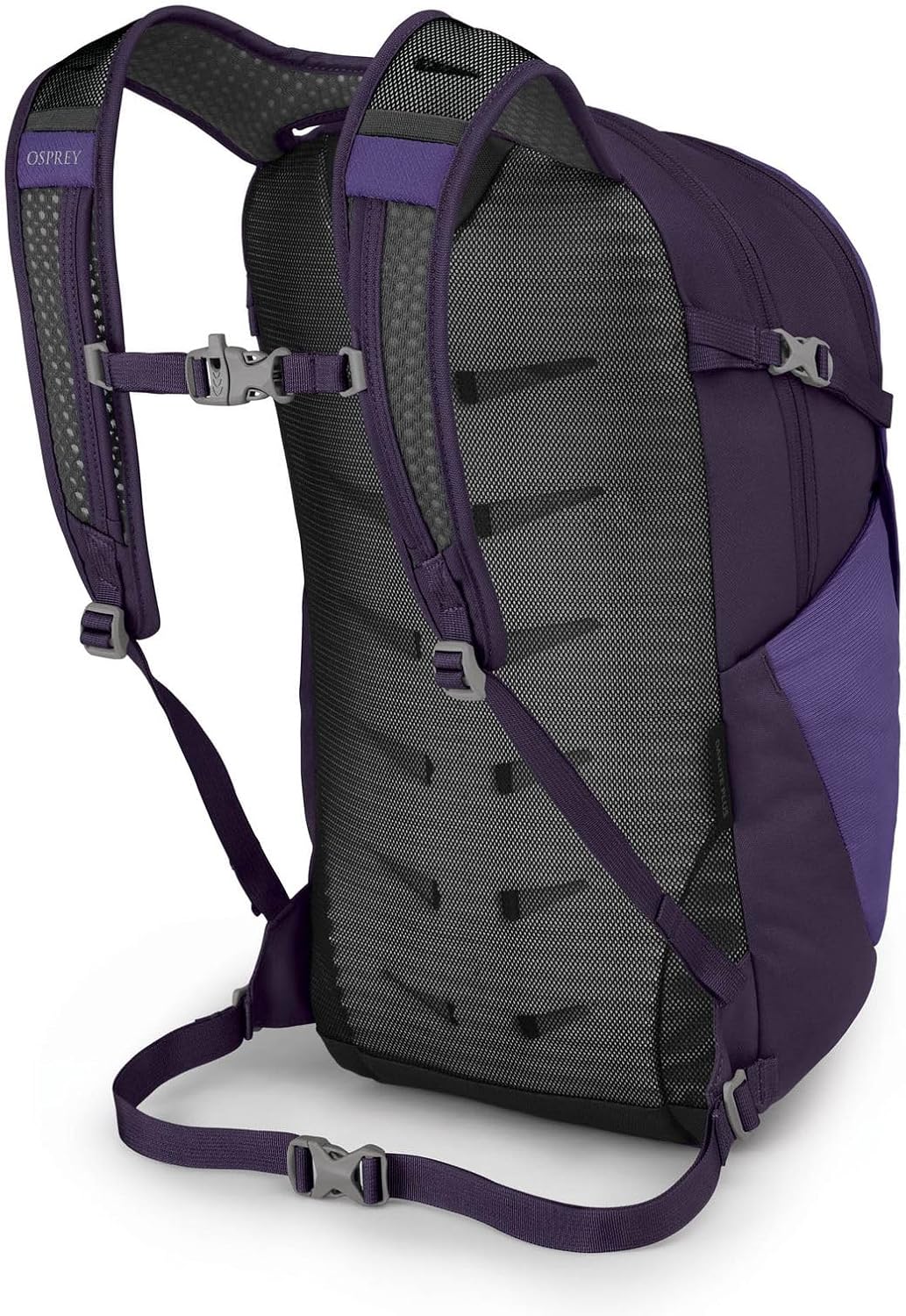 Osprey Daylite Plus Commuter Backpack – Lightweight, Everyday Pack with Laptop Sleeve and Water Bottle Pockets – Ideal for Work, School, and Travel with Versatile Storage Options, Dream Purple
