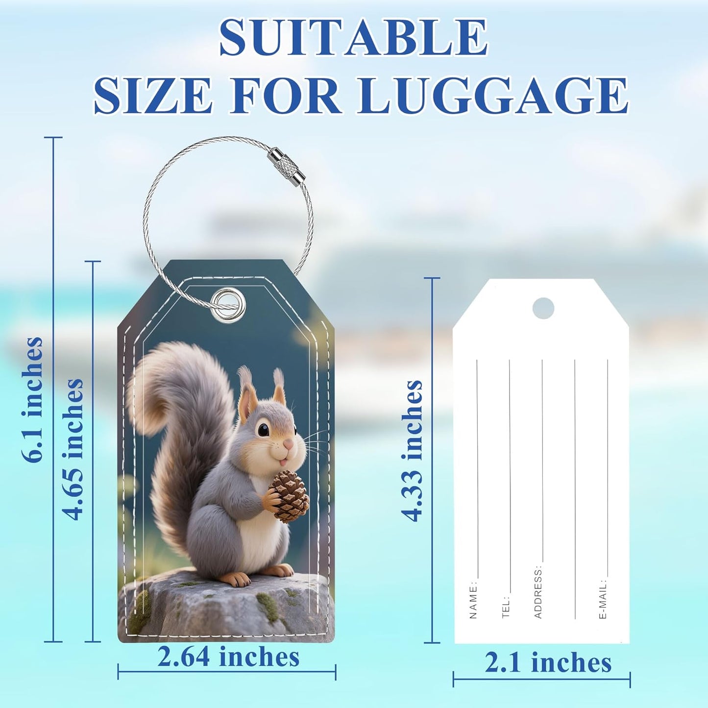 Luggage Tag, Cute Personalized Luggage Tags for Suitcases, Bag Tags for Backpacks Handbag School Instrument with Name ID Label Travel Essentials, Unique Fun Baggage Tags 2 Pack, Squirrel