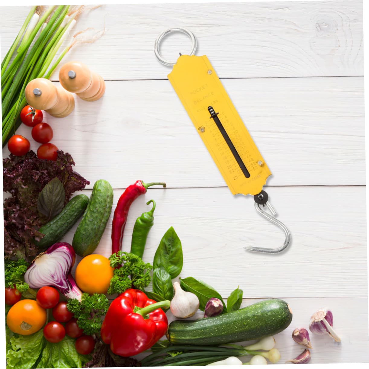 ibasenice 2pcs Handheld Spring Scale Mechanical Scale for Outdoor Activities Vibrant Design
