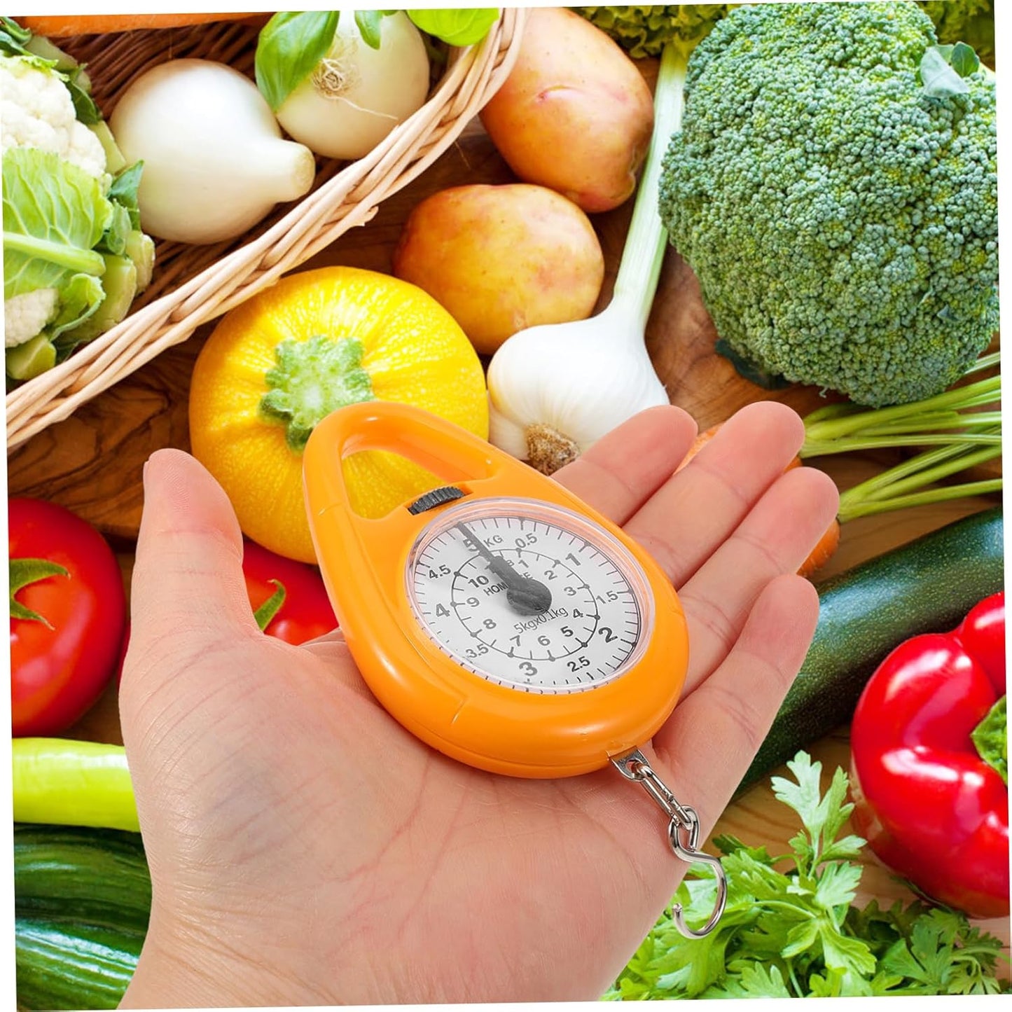 Handheld Scale Mechanical Spring Balance Luggage Scale for Travel Built Hook