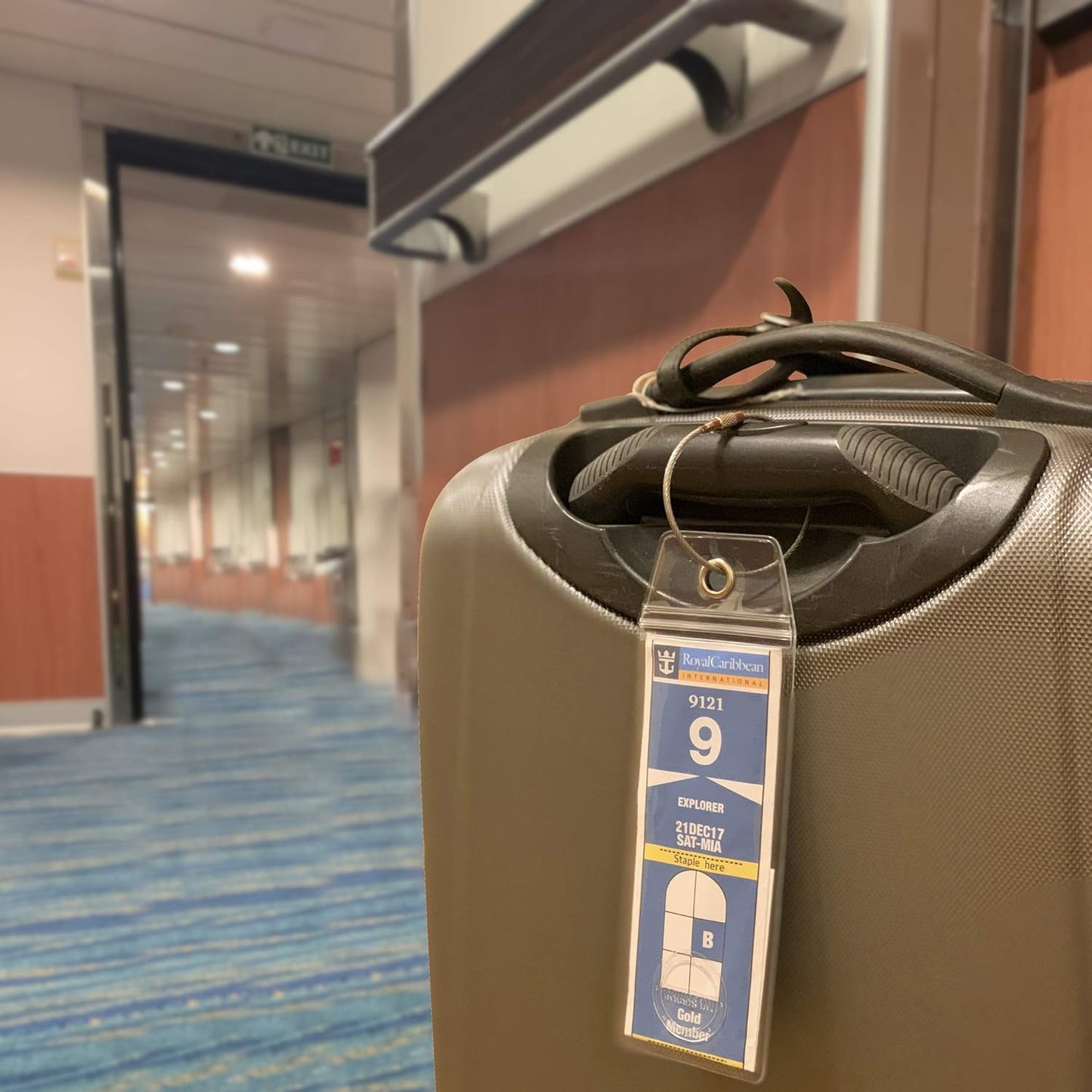 Cruise On Royal Caribbean Cruise Luggage Tag Holder (4 Pack) – Fits All Royal Caribbean Ships, Durable Travel ID Holders for 2025-2026 Cruises, Clear Waterproof Cruise Essentials