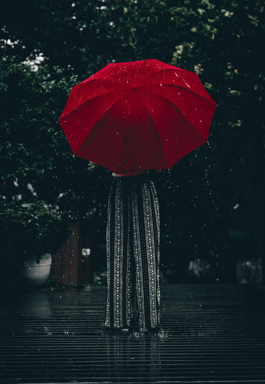 Best Umbrellas for Rainy Days in 2026