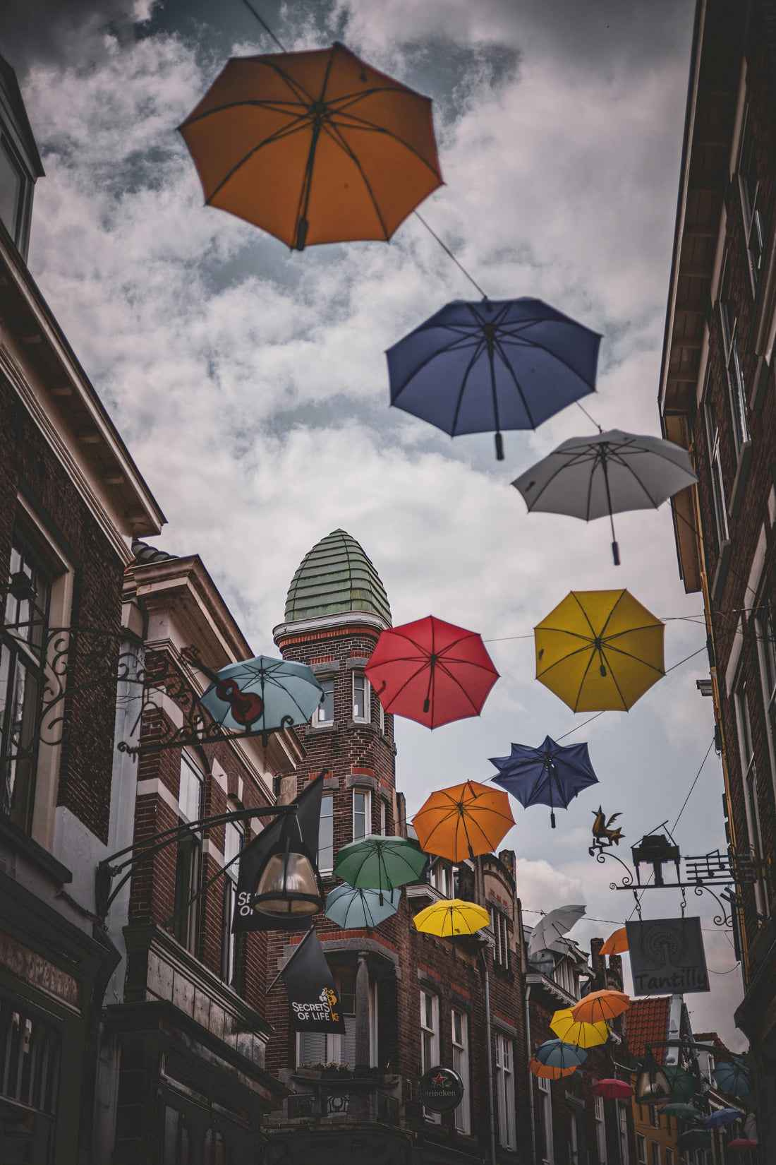 Top Umbrella Trends You Should Know 2026