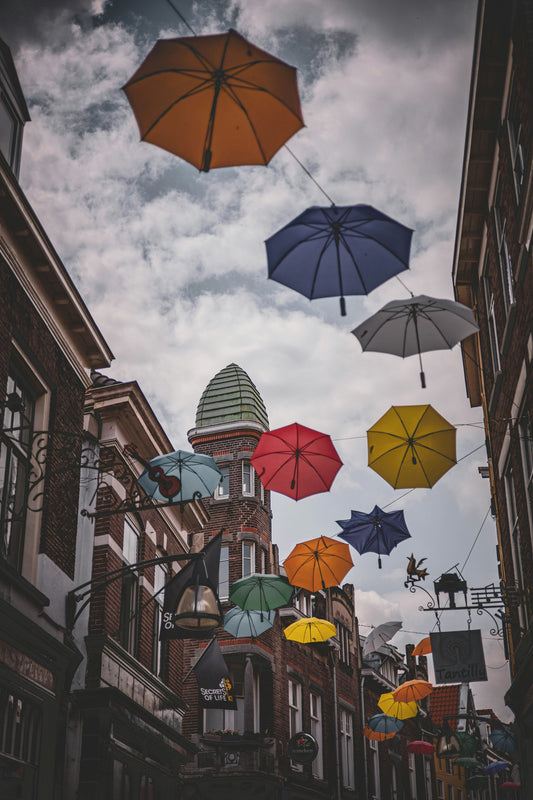 Top Umbrella Trends You Should Know 2026