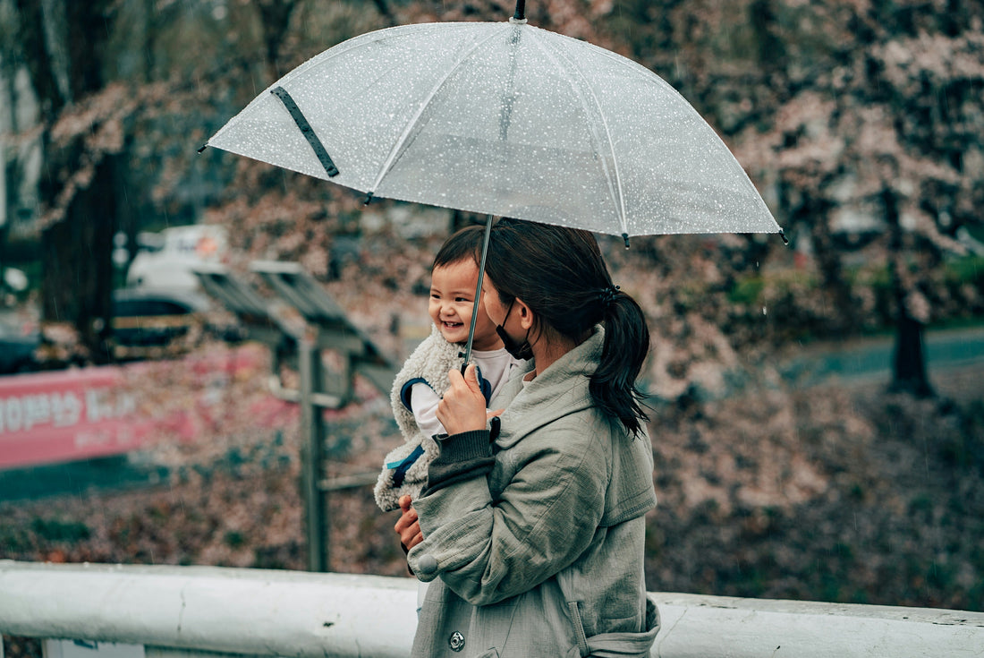 Windproof Umbrella Buying Guide Complete 2026