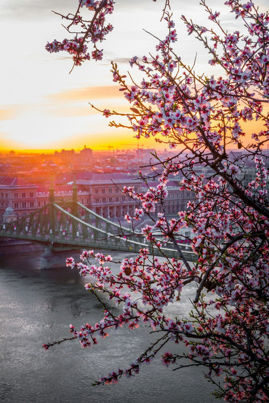 What to Pack for a Spring Trip to Europe