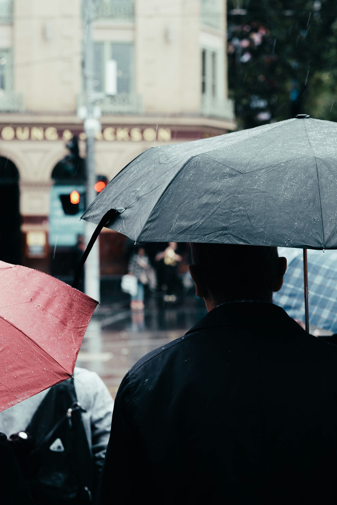 Top Windproof Umbrellas Compared 2026 Guide