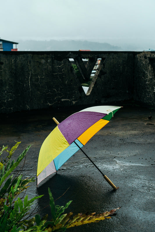 How to Choose the Perfect Umbrella for Everyday Use
