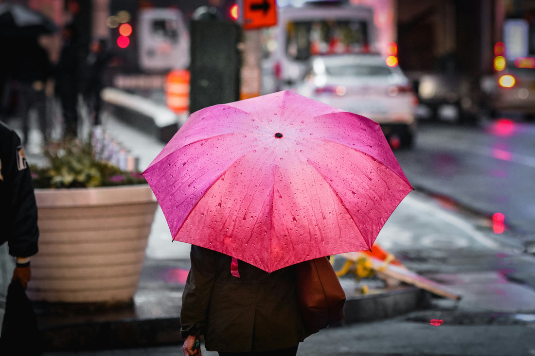 Best Travel Umbrellas That Fit in Any Bag