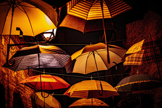 Back to Office Essentials Don’t Forget an Umbrella