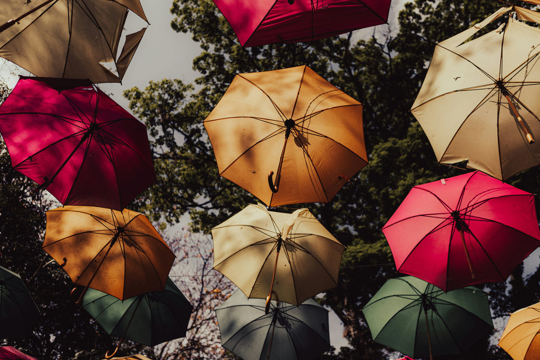 Best Umbrellas for Commuters and Daily Use