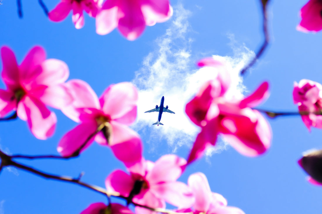 Travel Should Feel Light — The Cloudette Philosophy