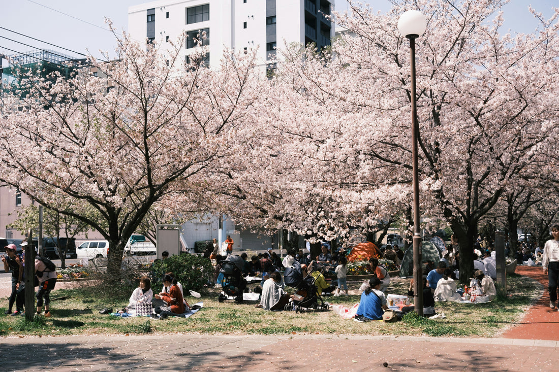 Packing Smart for a Spring Trip to Japan
