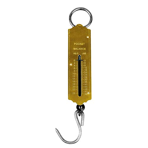 XINTU Spring Balance Fish Scales, Pocket Mechanical Spring Balance Weighing Scale with Hanging Loop for Home Kitchen Luggage Fishing (25KG)