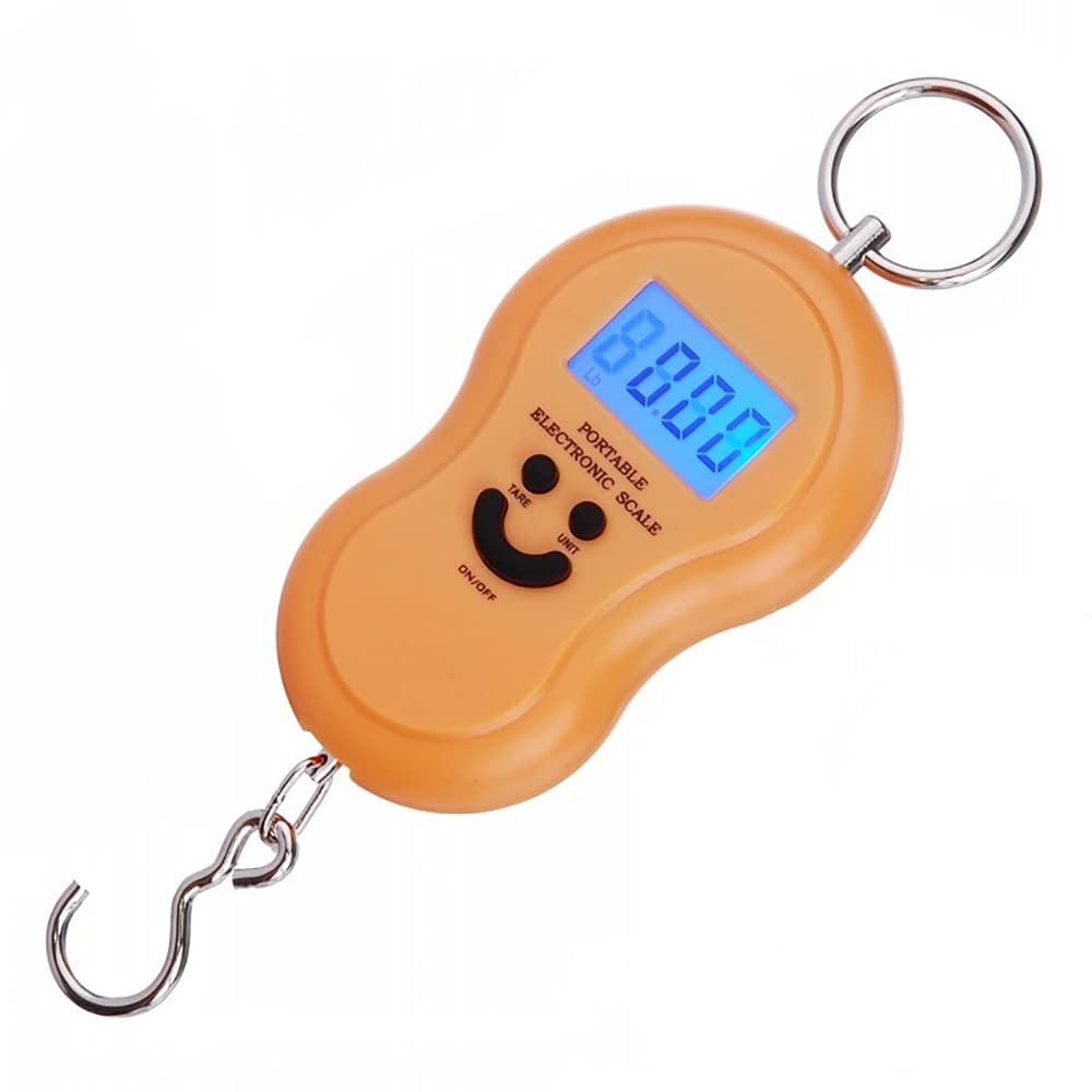 Electronic Fish Scale with Backlit LCD Display, Digital Portable Hanging Luggage Scale 110lb/50kg for Home and Outdoor, 2 AAA Batteries Included