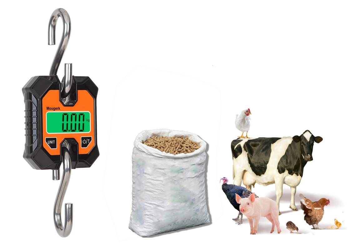 Digital Hanging Scales Portable Heavy Duty Crane Scale 100 kg 200 lb 2 AAA Batteries(Not Included)