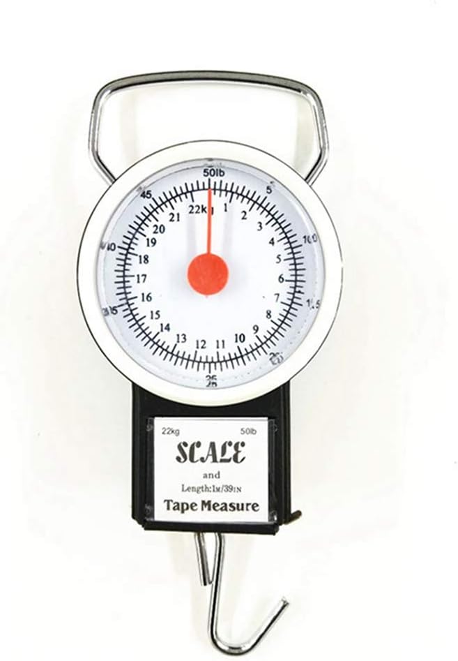 Portable Mini Fish Hook Scale Spring Scale, Mini Dial Measure Hanging Hook Weighing Scale Portable