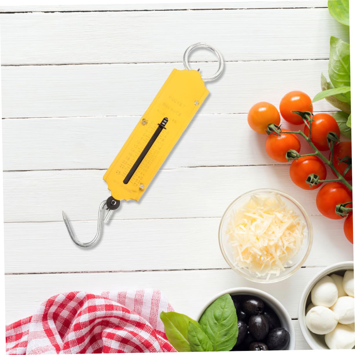 ibasenice 2pcs Handheld Spring Scale Mechanical Scale for Outdoor Activities Vibrant Design