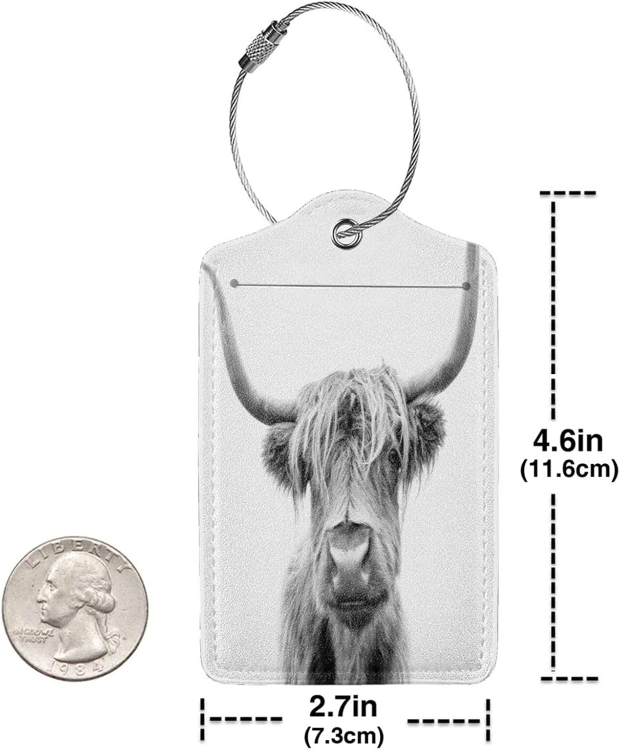 2 Pack Luggage Tag for Suitcase, Cute Leather Suitcase Tags Identifiers with Privacy Name Address Labels Durable Steel Loop for Women Men Girl Travel (Highland Cow Bull)