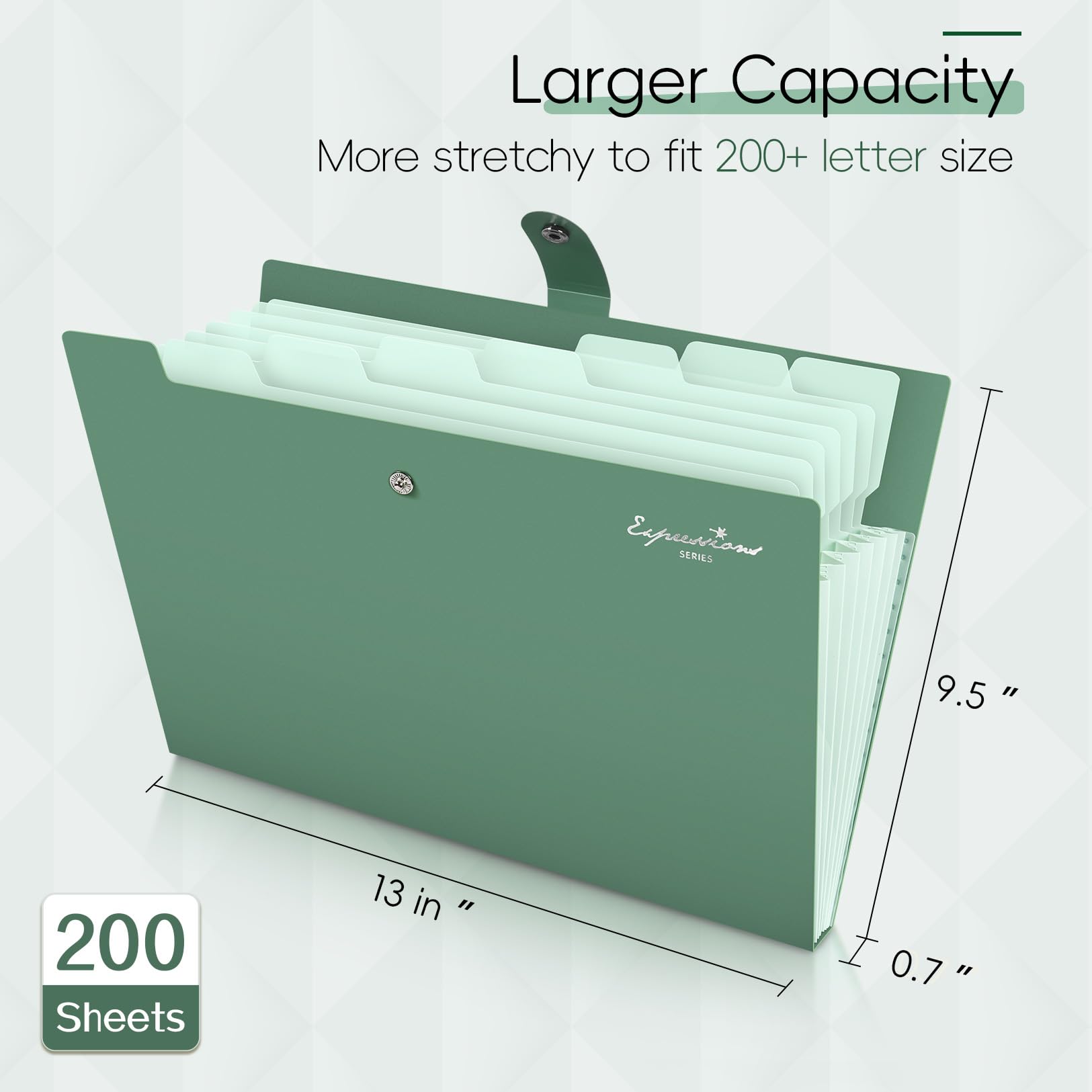 Sooez Elegant Accordion File Organizer, 8 Pocket Expanding File Folder