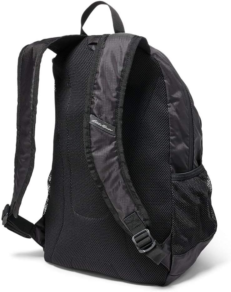Eddie Bauer Stowaway Packable Backpack-Made from Ripstop Polyester, Onyx, 30L