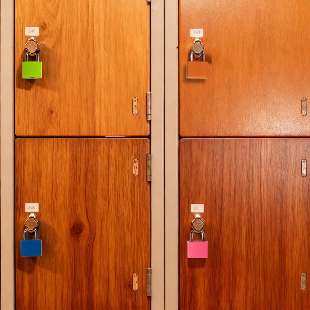 6PCS Suitcase Locks with Keys, Luggage Locks with Keys, Metal Luggage Padlocks, Mini Locker Lock (6 Colors)