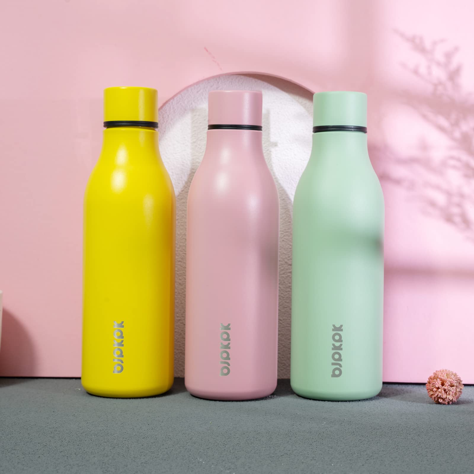 BJPKPK 18oz Insulated Water Bottle, Stainless Steel Bottle with Carry Strap