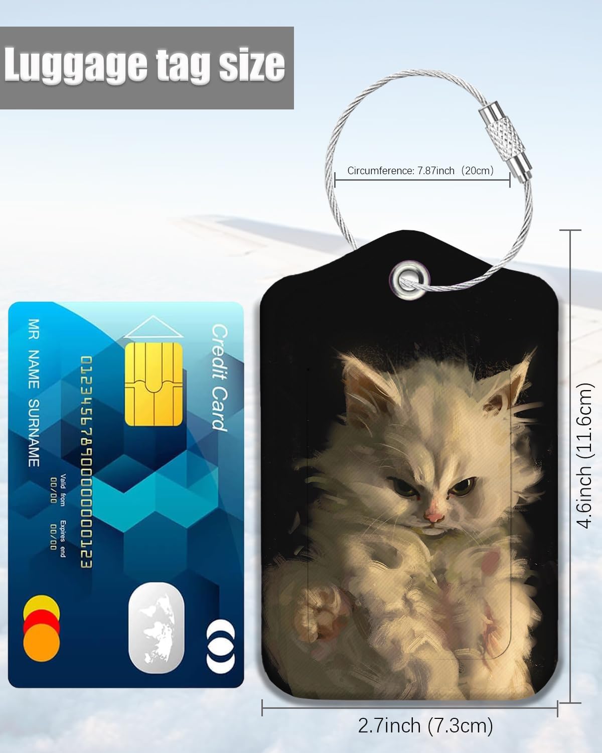 2 Pack Luggage Tags for Suitcase, Leather Suitcase Tags Cruise Ship with Privacy Cover and Double Metal Loop for Women Men Girls Boys Travel Baggage Bag Backpack Tags, Cute Kitty Cat