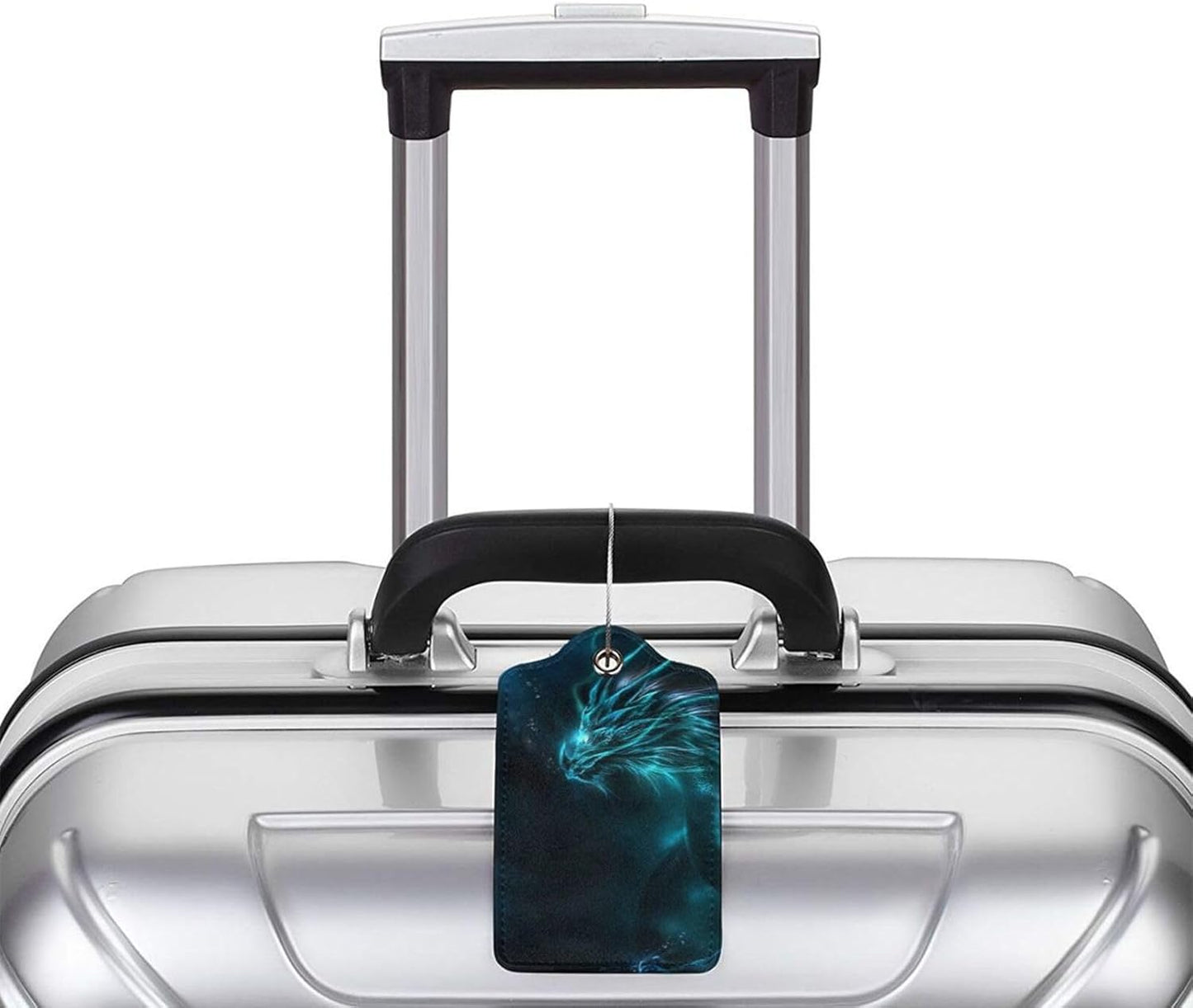 2 Pack Luggage Tags for Suitcase, Privacy Cover ID Label with Stainless Steel and Address Card for Travel Bag Backpack Cruise Ship Essentials Tag Men Boys Kids - Cool Blue Dragon