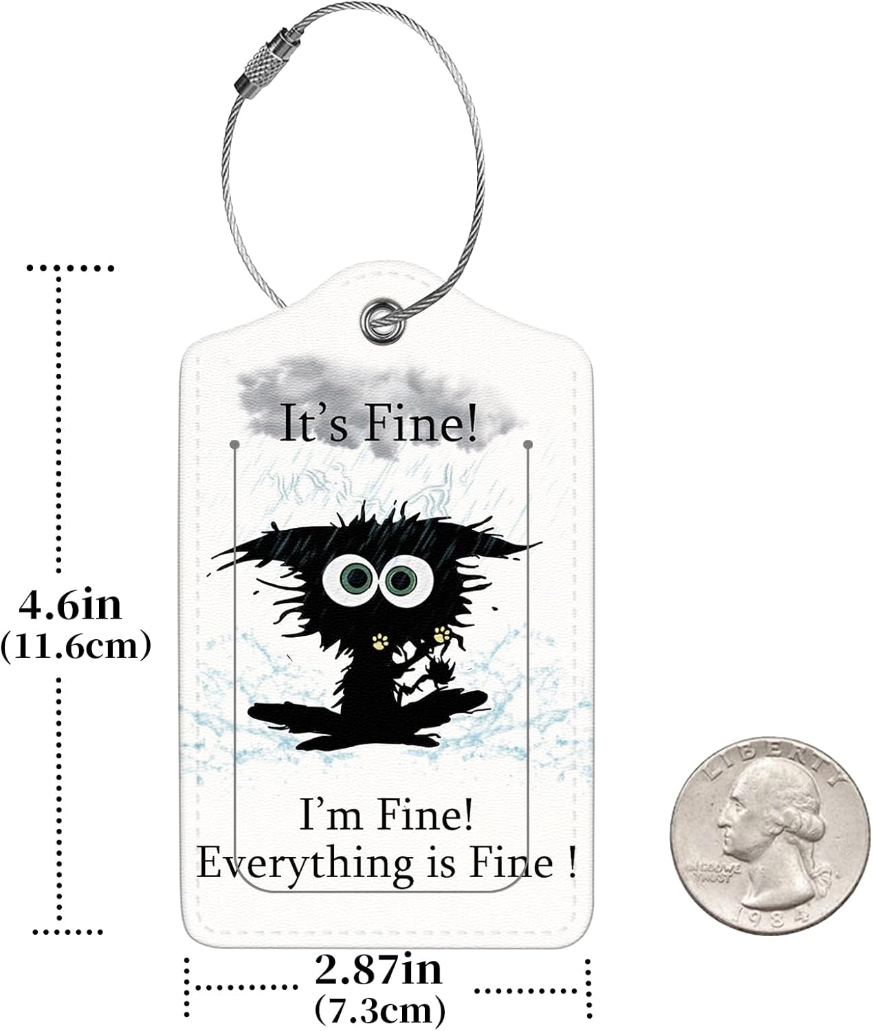 2 Pcs Luggage Tags for Suitcase, Cute Unique PU Leather Travel Bag Tag with Privacy Cover ID Label Address Card and Durable Metal Ring Suitable for Men Women Children Backpack,Cat Struck by Lightning