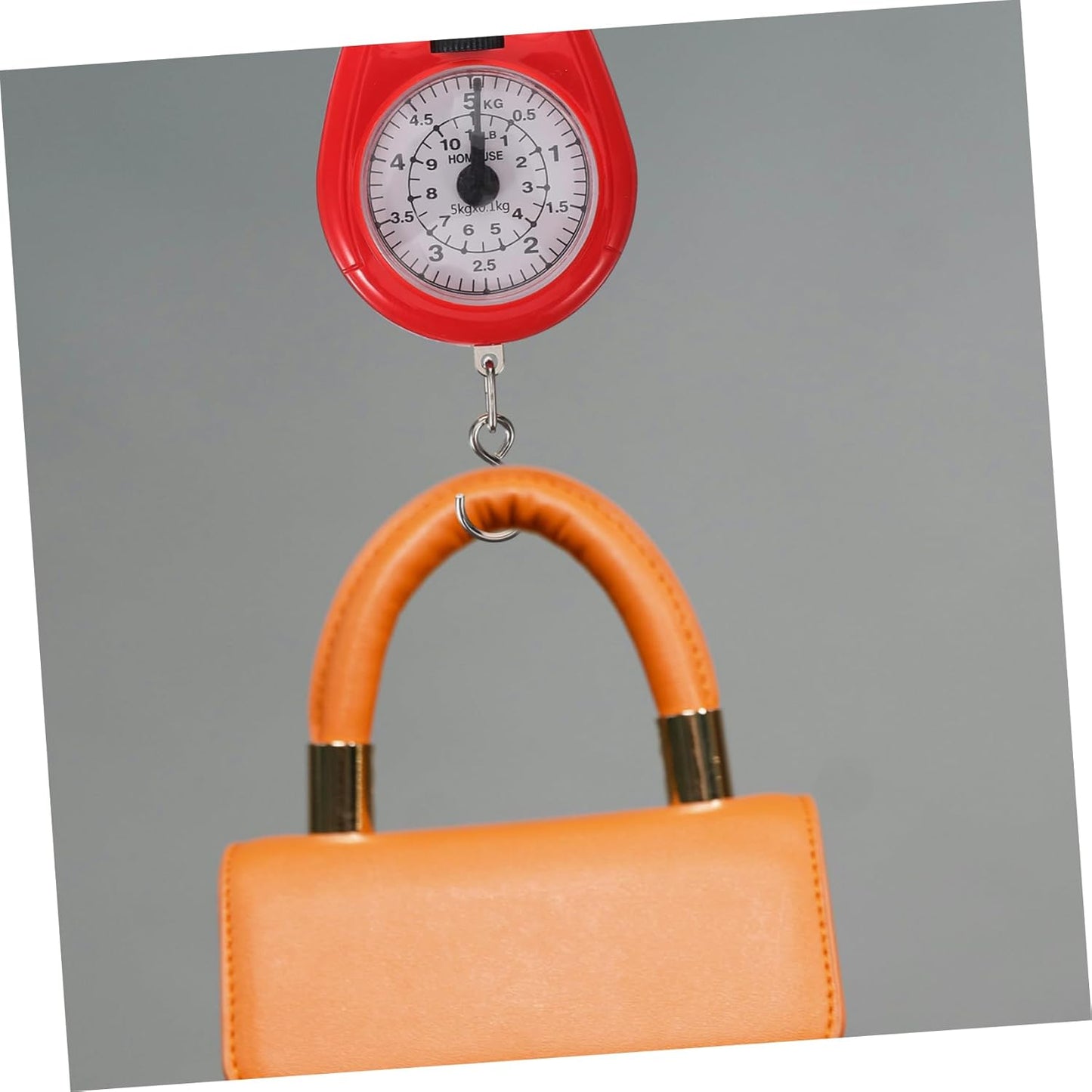 Hanging Scale Tool Spring Scale for Luggage Portable High Visibility Display Load