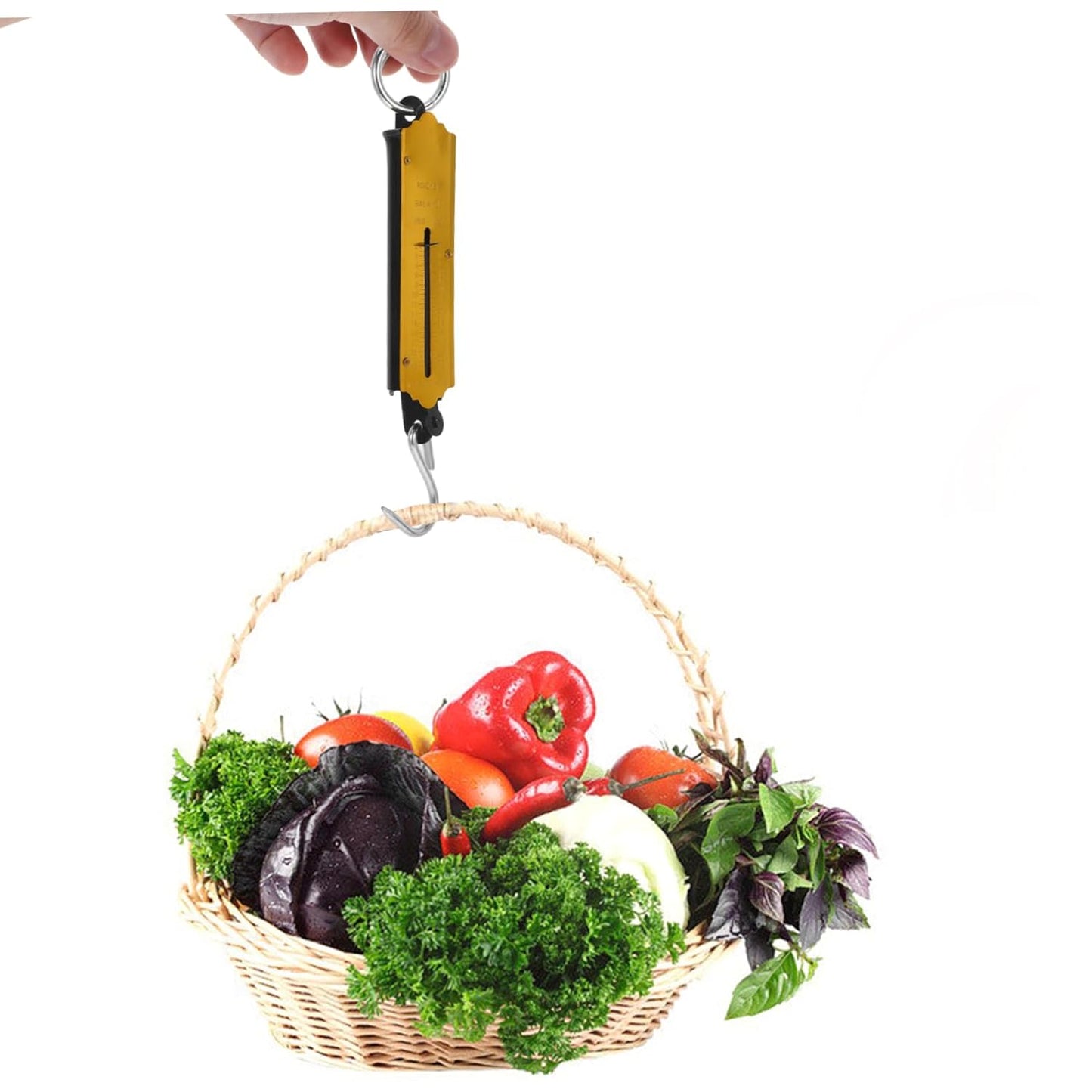 DOITOOL 25kg Hand Scales Portable Fishing Scale for Luggage Weighing for Kitchen and Travel