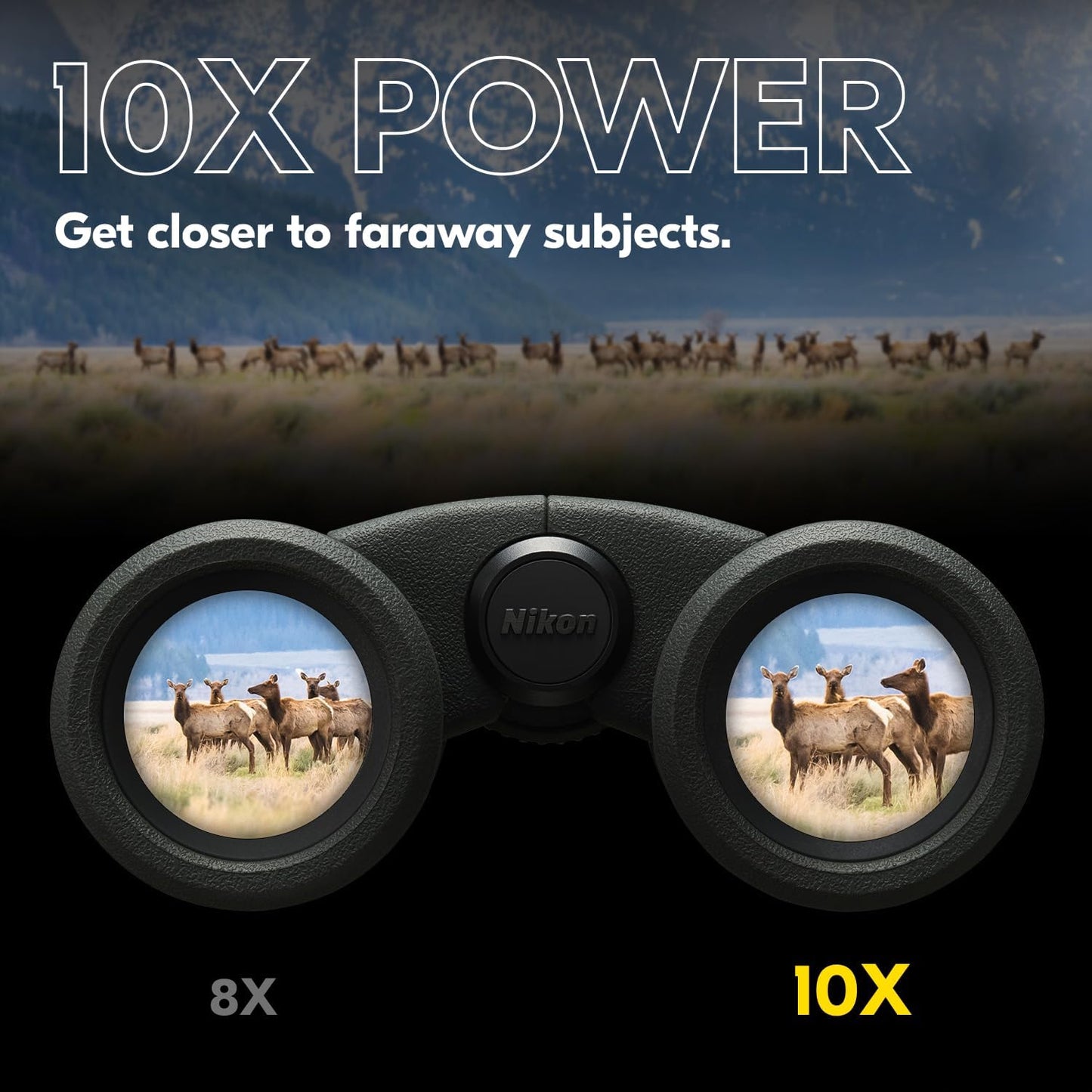 Nikon PROSTAFF P3 10x30 Binocular | Waterproof, fogproof, rubber-armored compact Binocular, wide