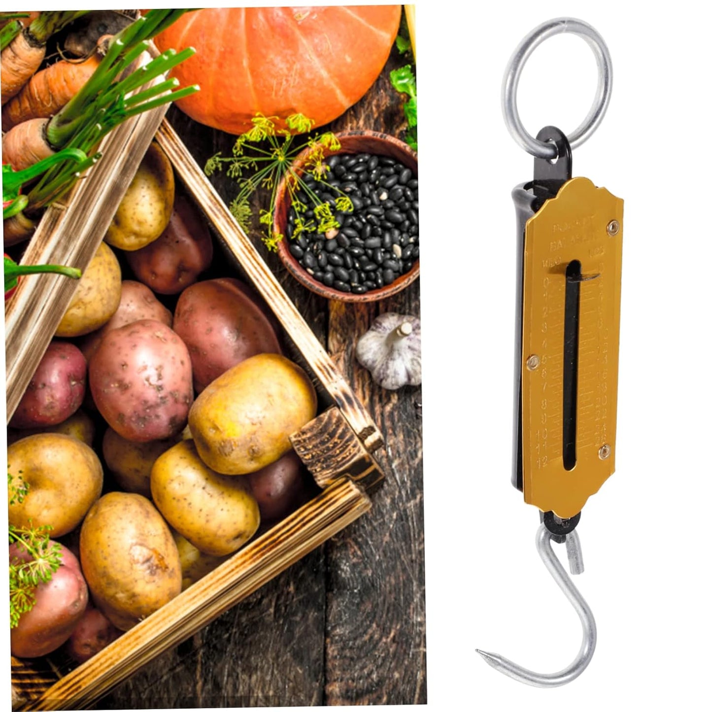 KICHOUSE 2pcs Hanging Scale for Luggage Fishing Spring Scale Weighing Compact Portable