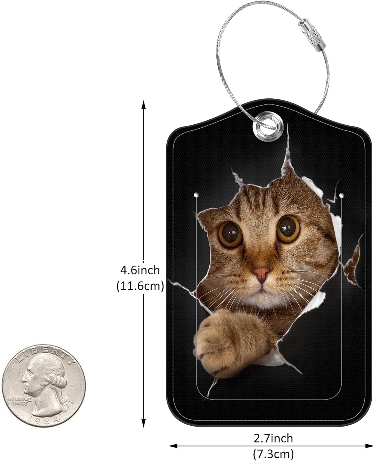 2 Pack Luggage Tag for Suitcase Cat in Black Hole Leather Travel Cruise Luggage Tag with Stainless Steel Loop Name ID Label Privacy Cover for Adults Teens Travel Bag Labels Set