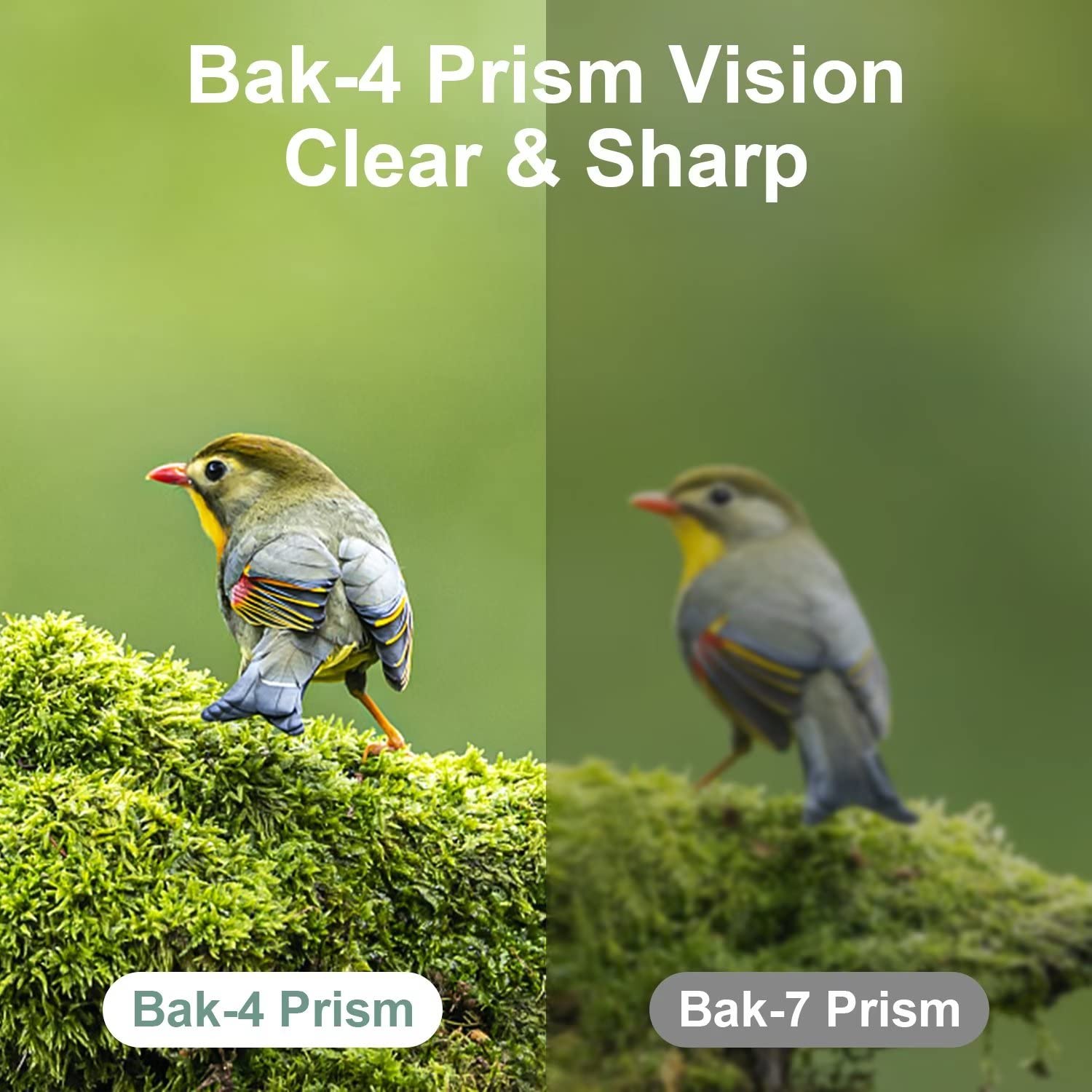 DRANBOL 12X25 Mini Pocket Binoculars for Adults Kids, Small Compact Binoculars for Bird Watching