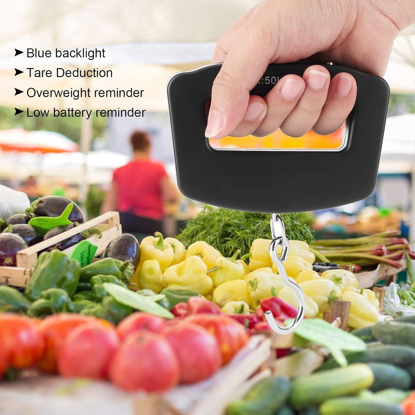 50kg/10g Portable Fishing Scale,Mini Portable Travel Hook Scale,Electronic Hook Scale Luggage Scale with Hook for Travel Fish Weighing Black