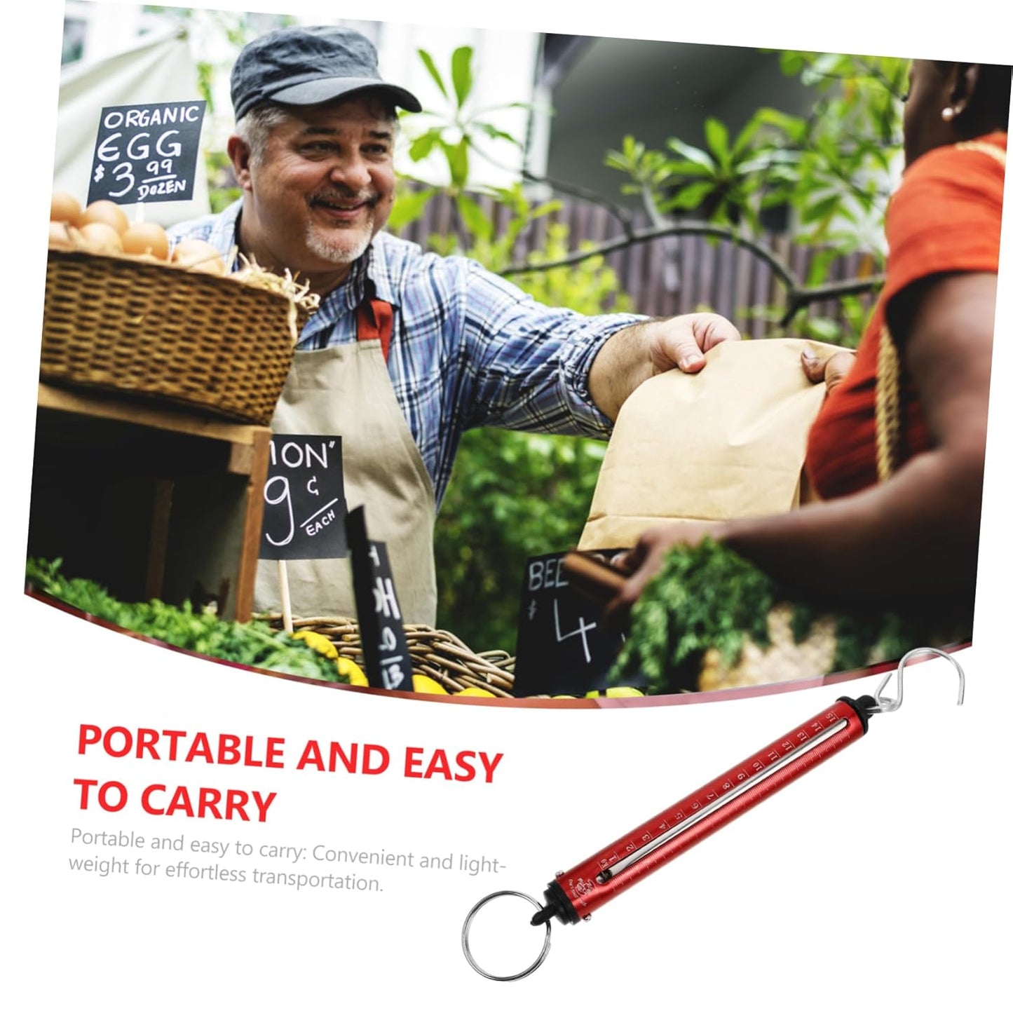 Hanging Scale Mini Portable Spring Scale for Luggage Fish Vegetable Weighing Compact and Easy to Use