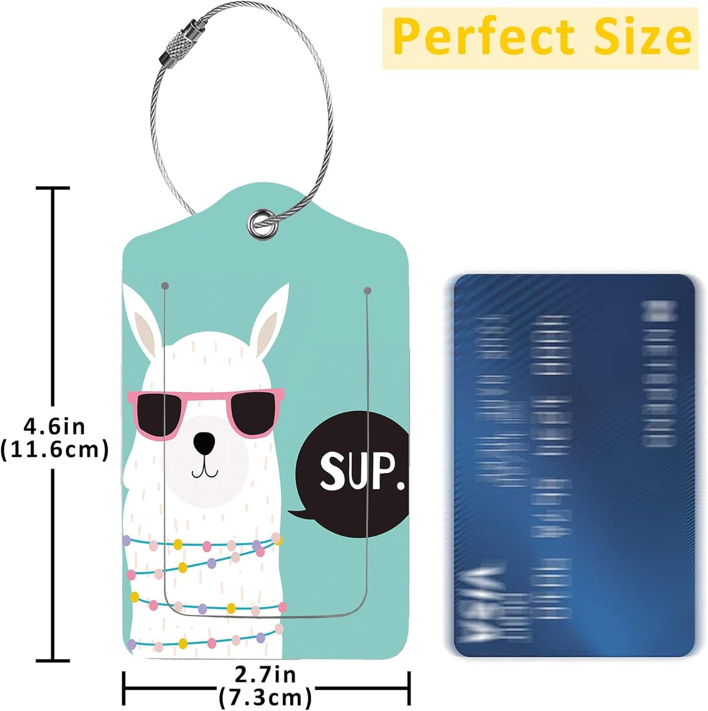 Luggage Tags for Suitcase,2 Pack Cute Llama Luggage Tag with Privacy Flap,Name ID Label and Metal Loop for Women Men Girls Baggage Bag Backpack Instrument