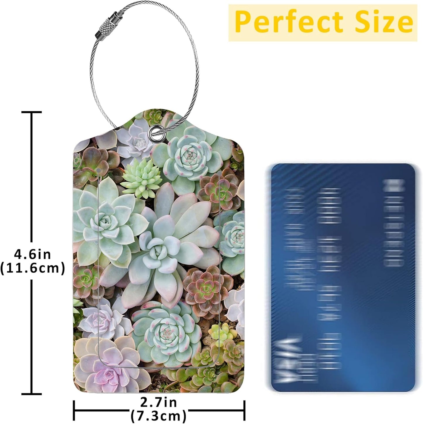 2 Pack Luggage Tags for Suitcases,Group of Cactus in a Pot Luggage Tag,PU Leather Id Label Luggage Tags with Stainless Steel Loop and Privacy Cover for Women Men Teens Travel