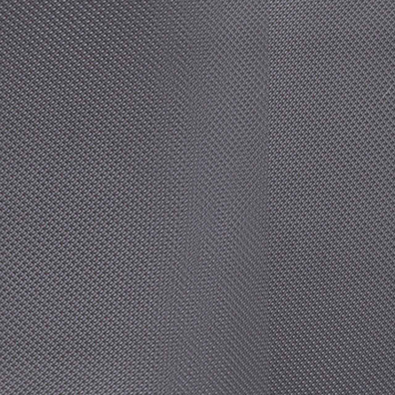 SwissGear Sion Softside Expandable Luggage, Dark Grey, 2-Piece Set (21/29)