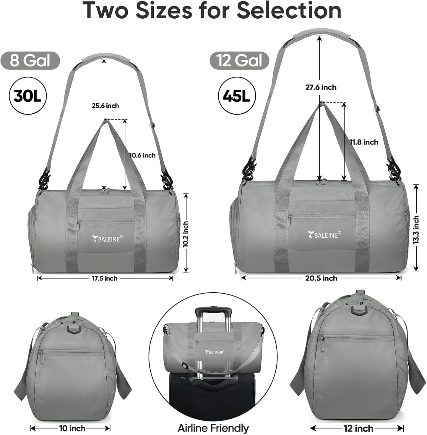 BALEINE Gym Bag for Women and Men, Duffel Bag for Sports, Gyms and Weekend Getaway, Waterproof Dufflebag with Shoe and Wet Clothes Compartments, Lightweight Carryon Gymbag (Silver)