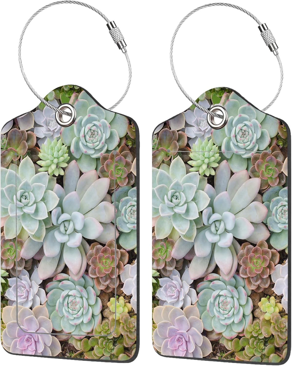2 Pack Luggage Tags for Suitcases,Group of Cactus in a Pot Luggage Tag,PU Leather Id Label Luggage Tags with Stainless Steel Loop and Privacy Cover for Women Men Teens Travel