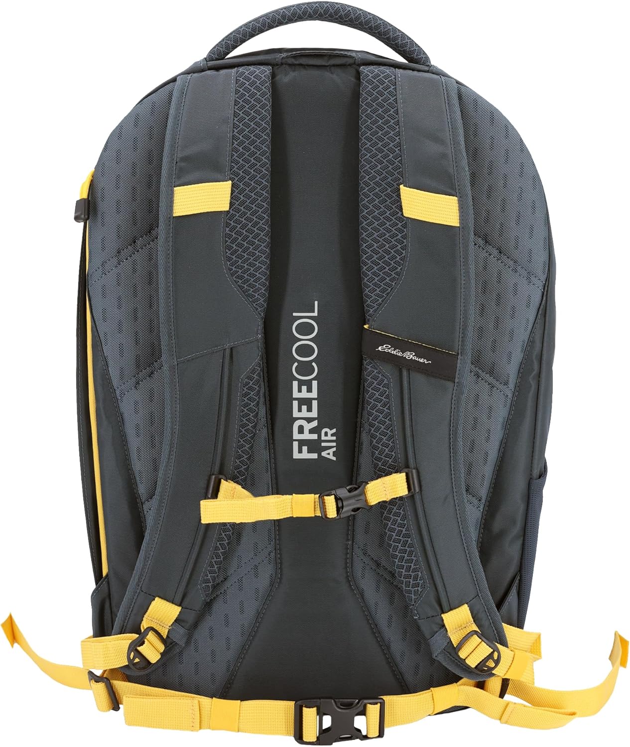Eddie Bauer Adventurer Backpack with Organization Compartments and Hydration/Laptop Compatible Sleeve, Adventurer - Storm, 30L