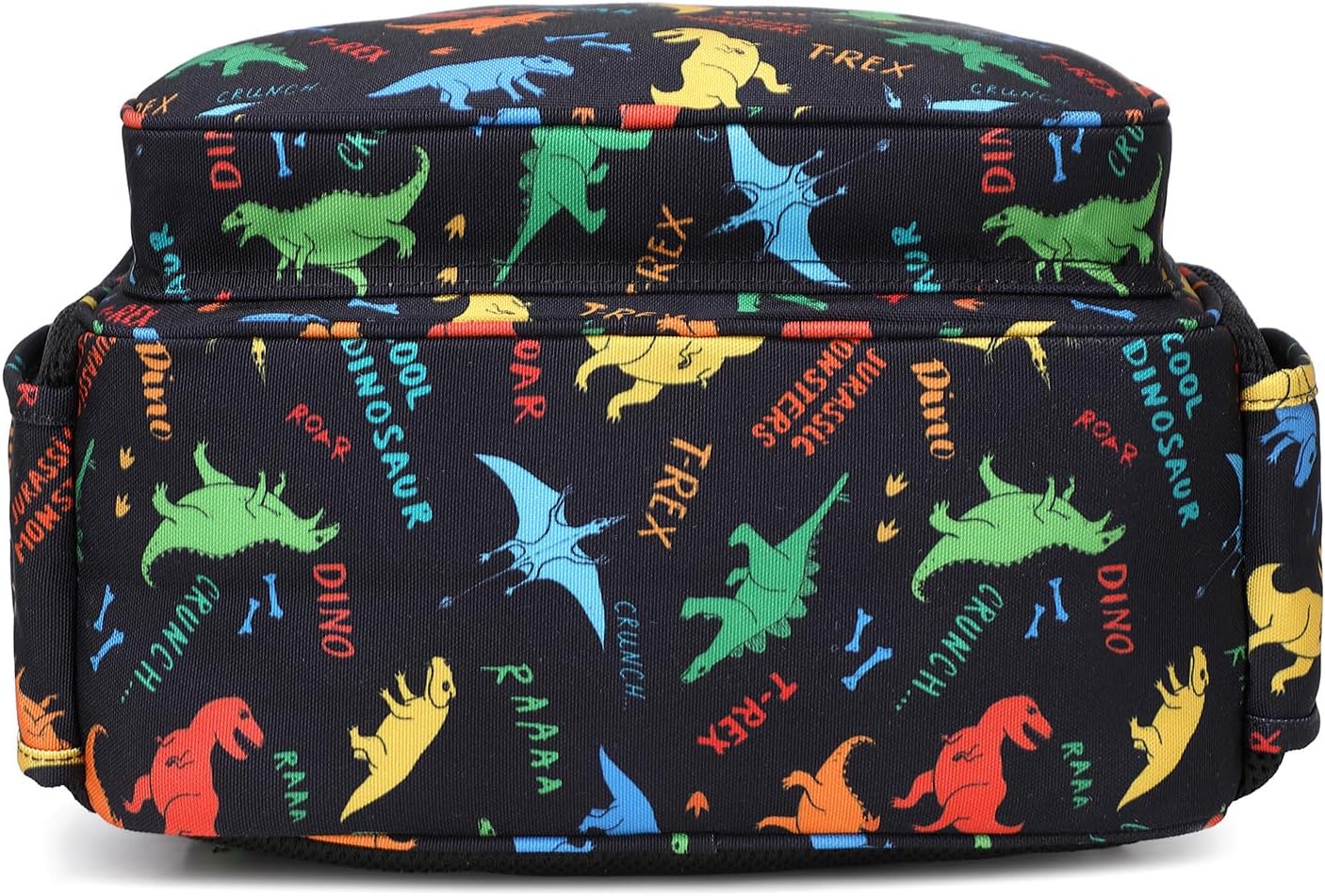 abshoo Cute Mini Toddler Backpacks for Boys Little Kids Bookbag Preschool backpack (Dinosaur Black)