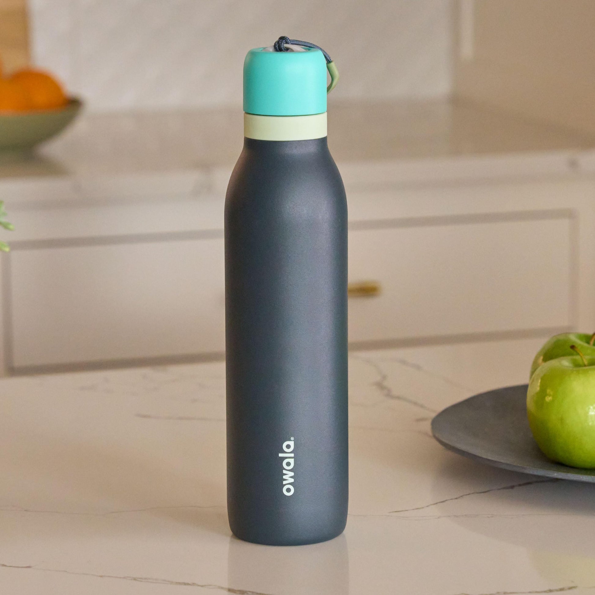 Owala FreeSip Twist Stainless Steel Water Bottle 24 oz Foggy Tide