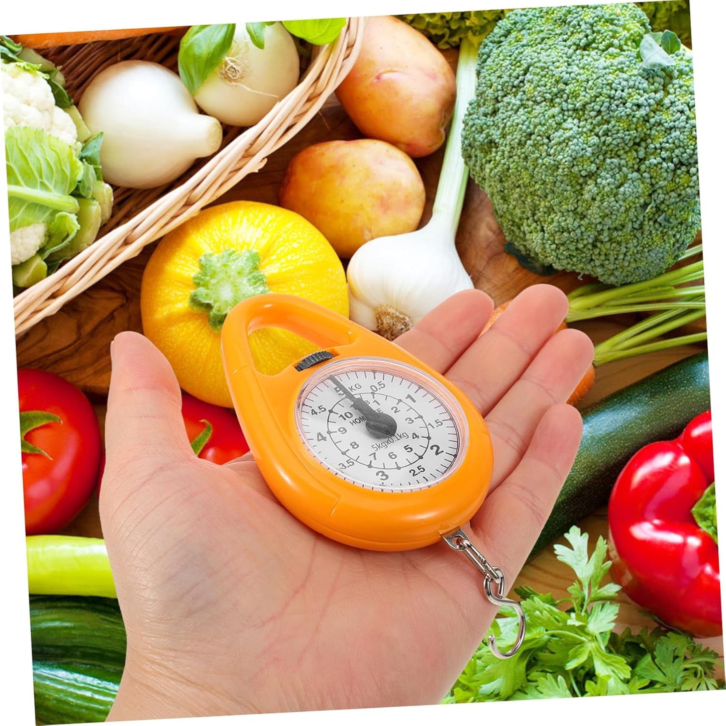 Small Scale Mechanical Spring Balance Compact Luggage Weighing Scale for Travel Hook