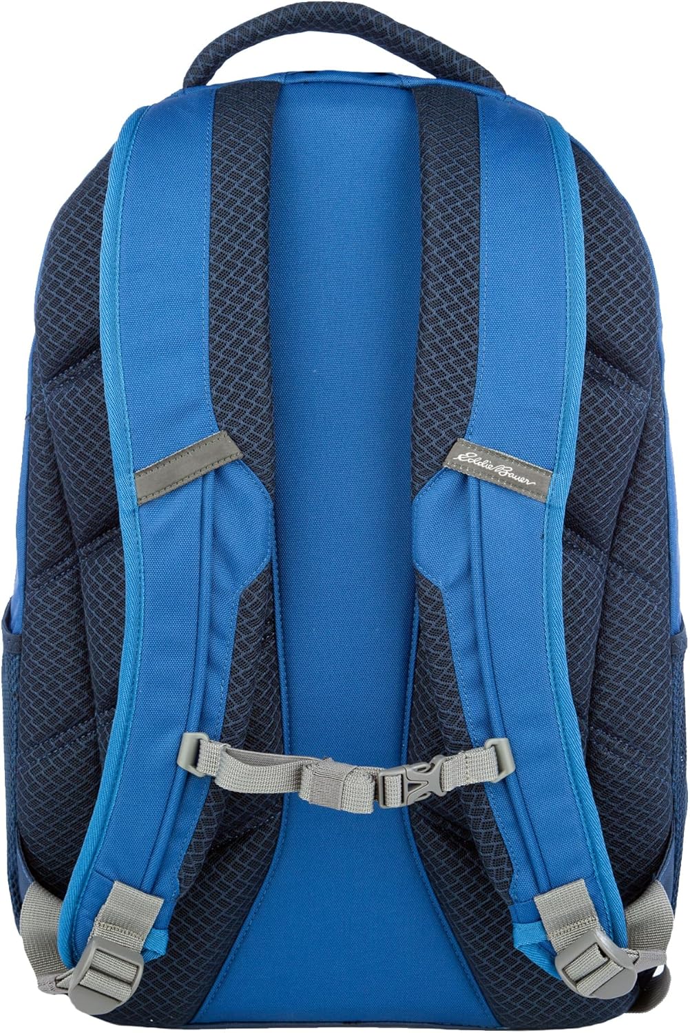 Eddie Bauer Adventurer Backpack with Organization Compartments and Hydration/Laptop Compatible Sleeve, Adventurer - True Blue, 25L