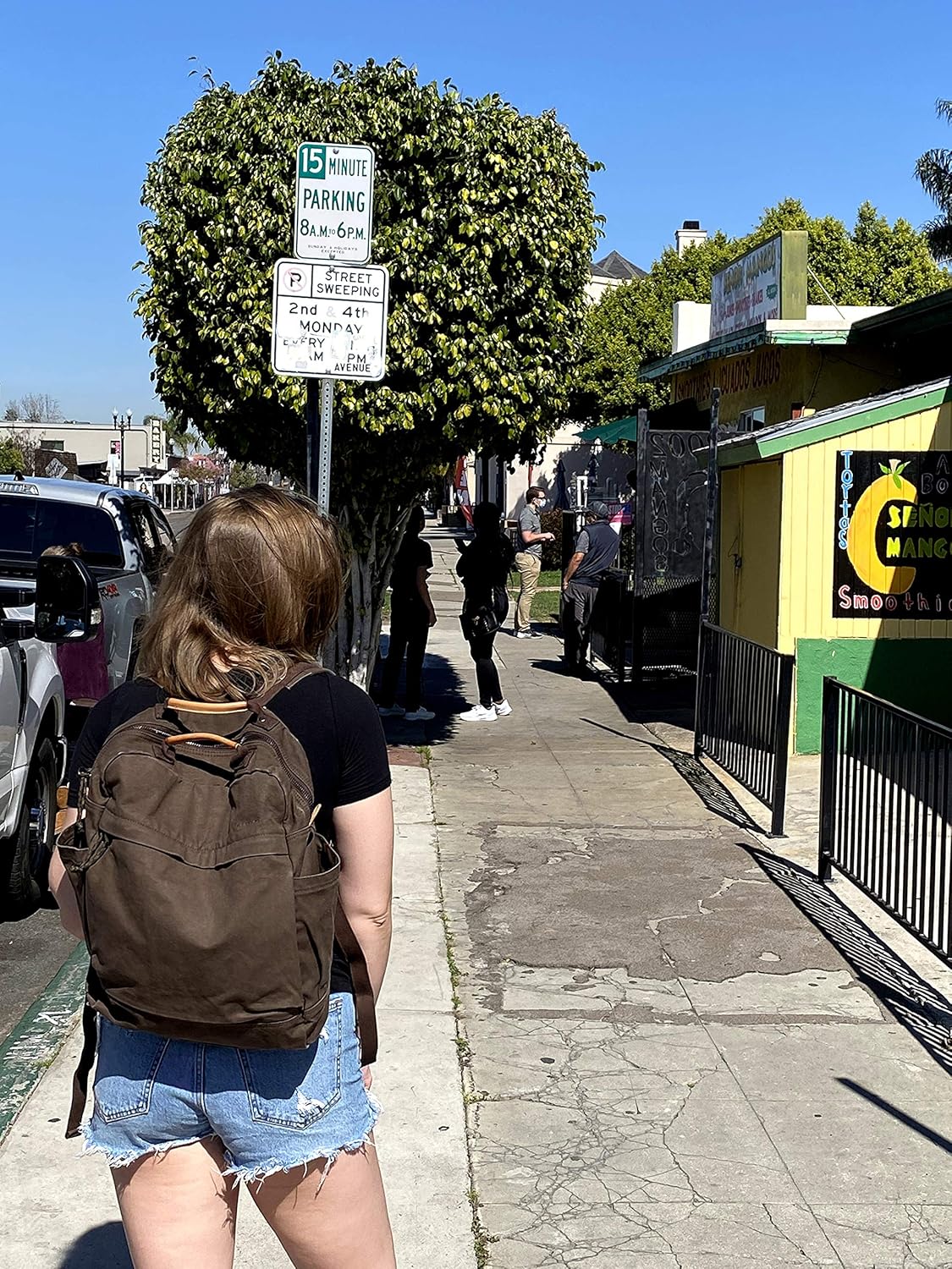 GOOTIUM Canvas Backpack for Women Vintage Style Zipper Bag Men's Casual Daypack Cloth Outdoor Travel Rucksack, Umber